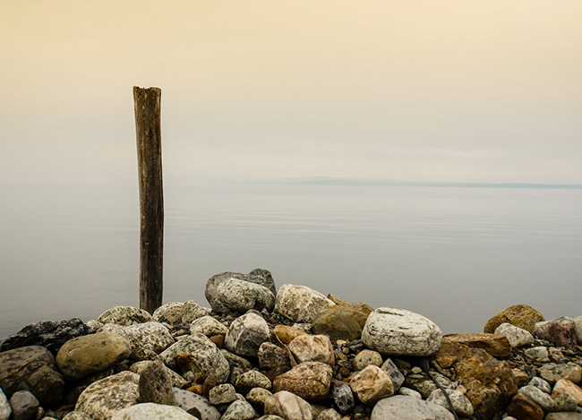 在线短信轰炸工具
