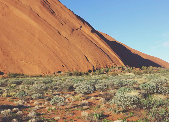 骚扰电话呼叫软件